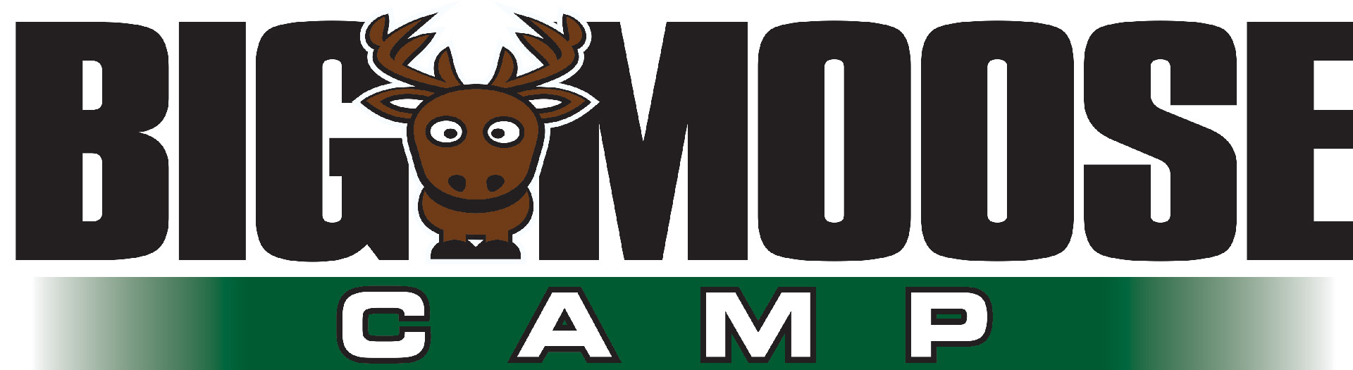 Logo image for Big Moose Camp Resort